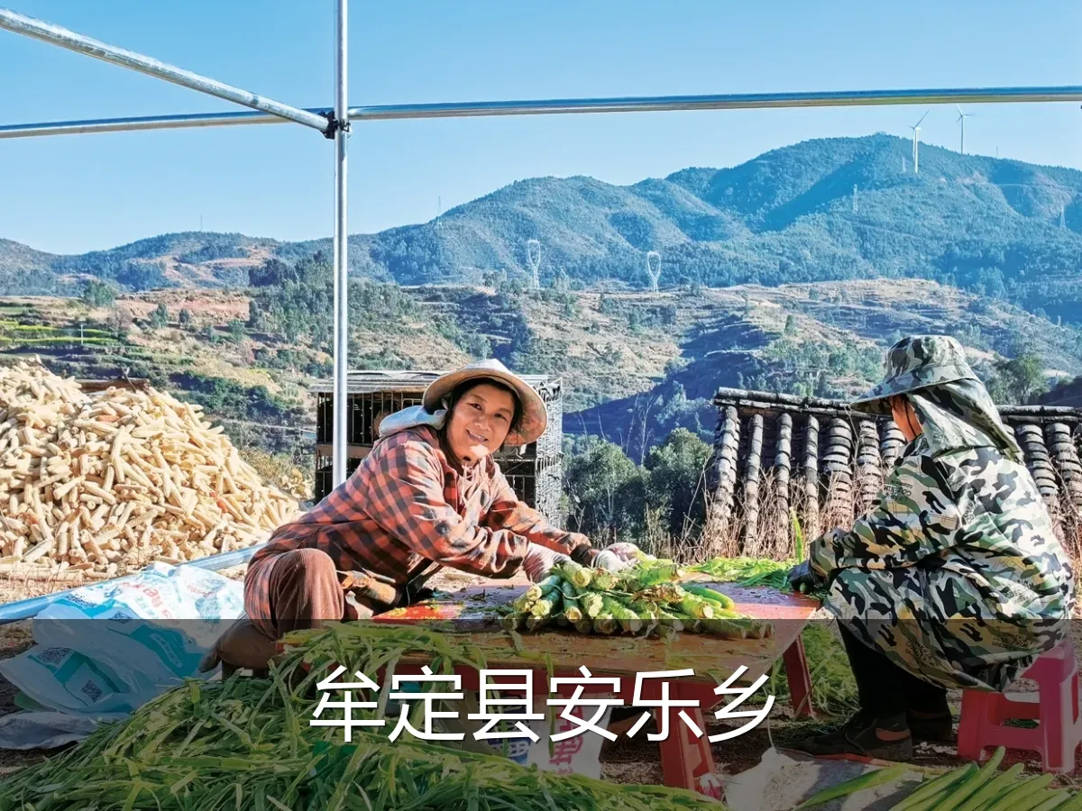 牟定县安乐乡